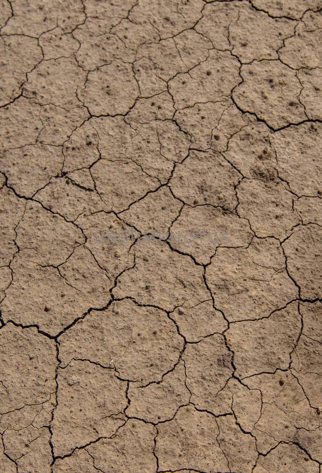 Texture dry cracked soil. Selective focus. Nature.