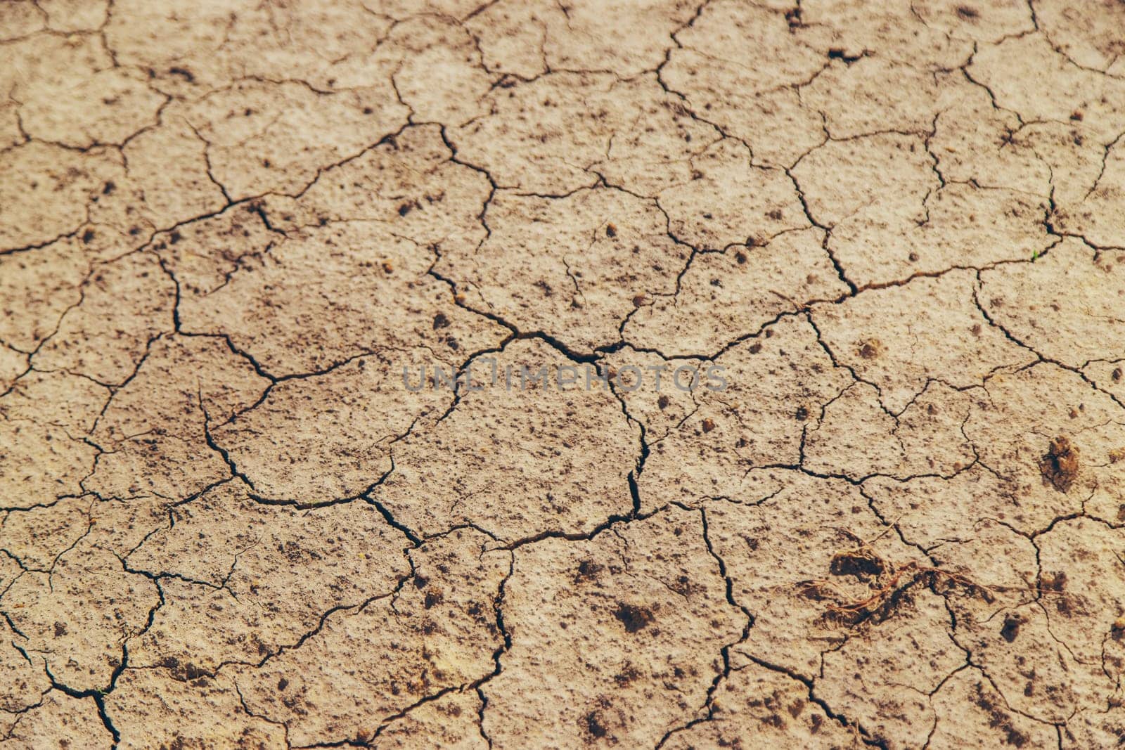 Texture dry cracked soil. Selective focus. Nature.