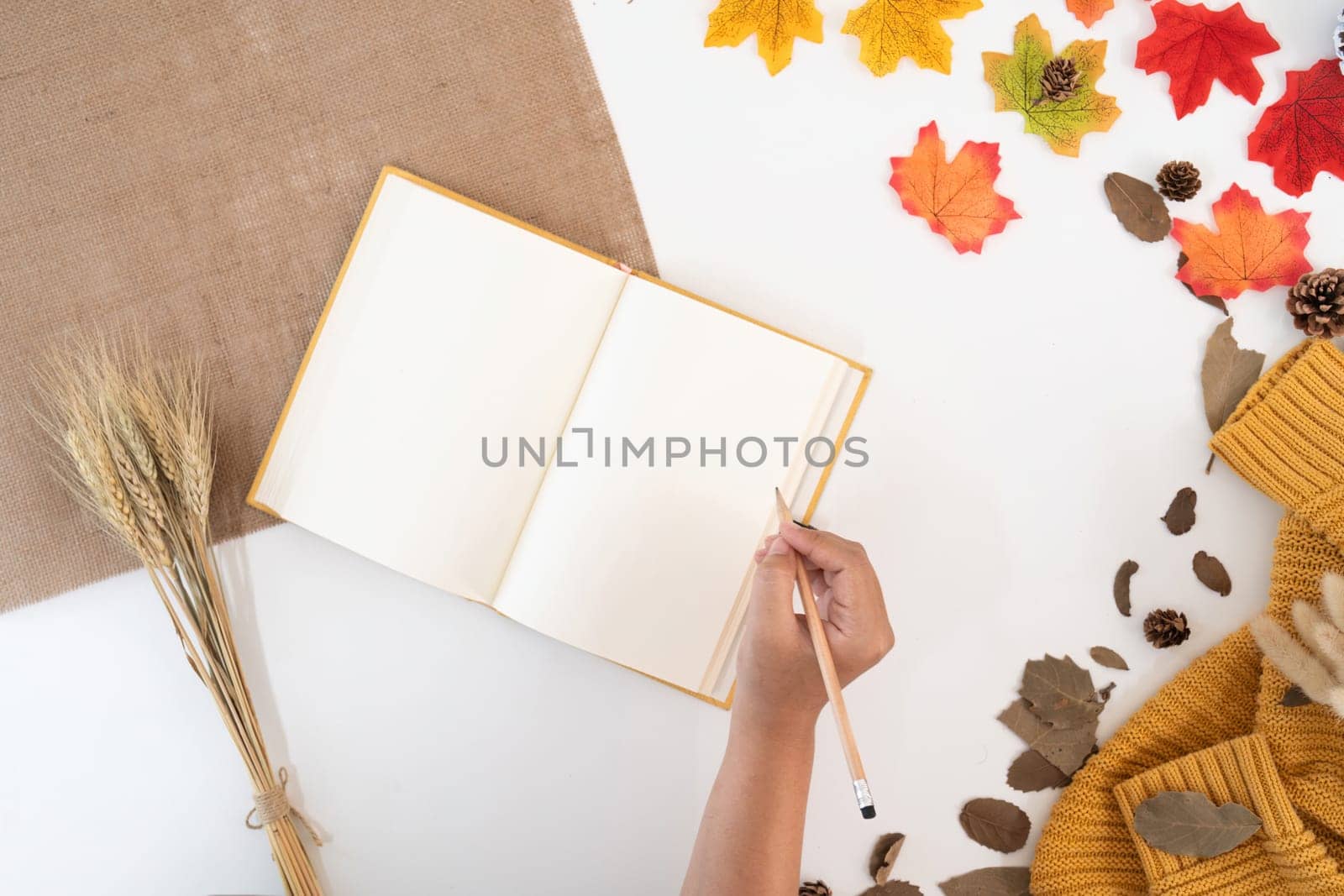 desk and the young woman who was taking notes with yellow-red autumn leaves on white background with copy space. work table with office supplies. concept cosy, cozy, seasonal autumn.