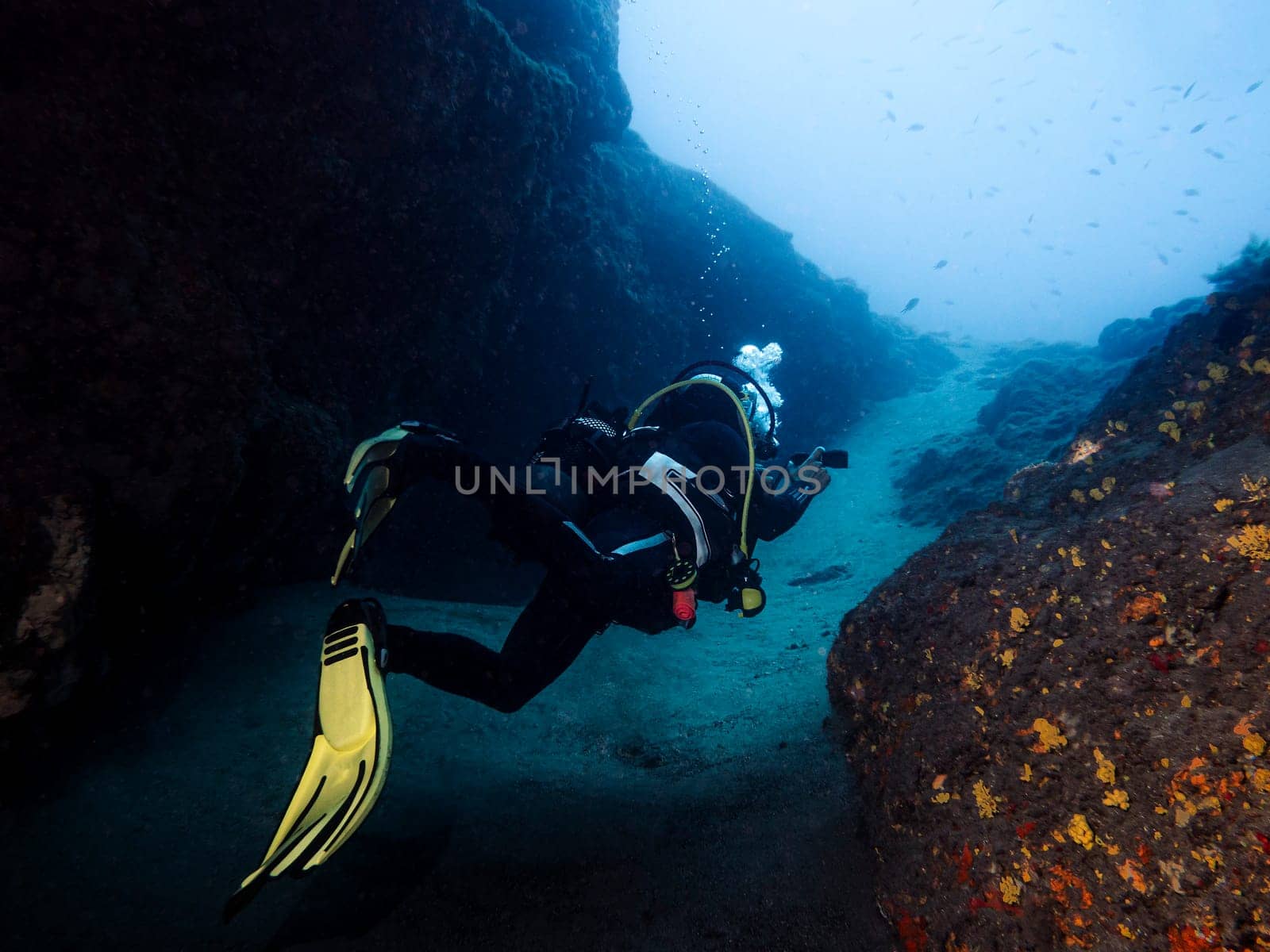 unrecognizable diver swimming under ocean water diving between rocks and fishes, concept of active tourism and scuba diving
