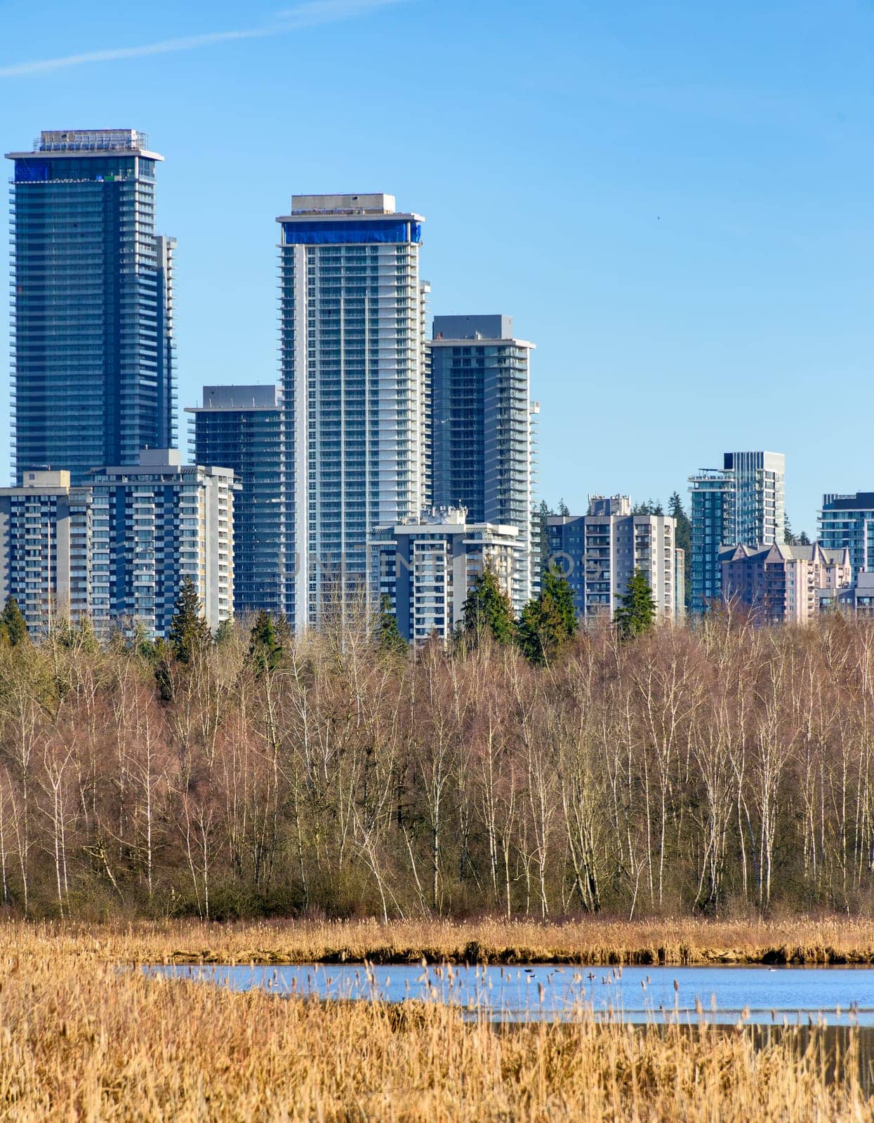 View at Lougheed city center from Deer lake neighbourhood on winter season in Vancouver
