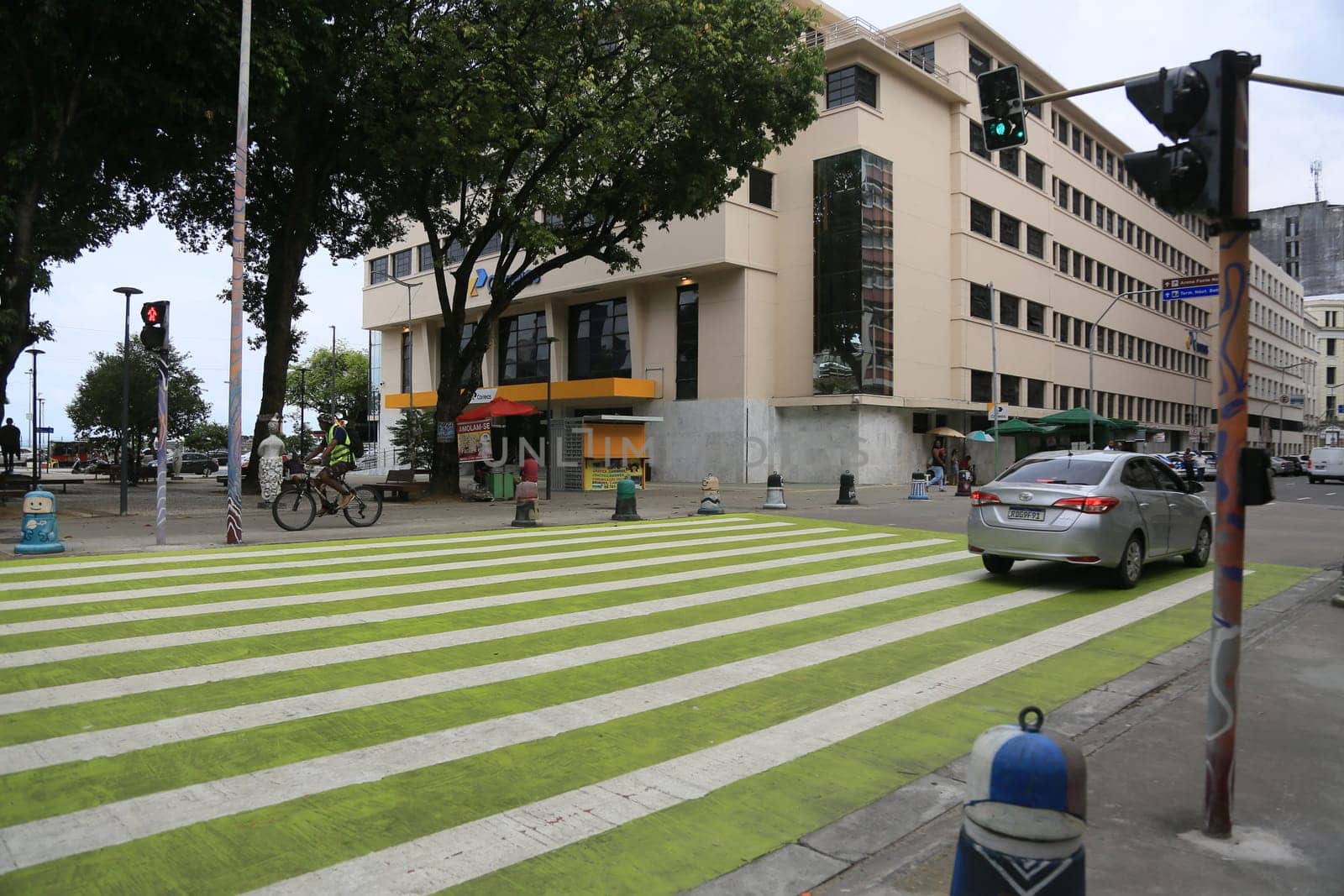 salvador, bahia, brazil - january 5, 2024: a pedestrian crossing is seen in the city of Salvador.
