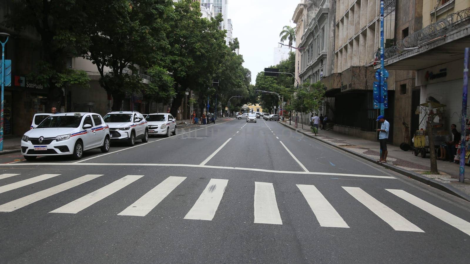 salvador, bahia, brazil - january 5, 2024: a pedestrian crossing is seen in the city of Salvador.
