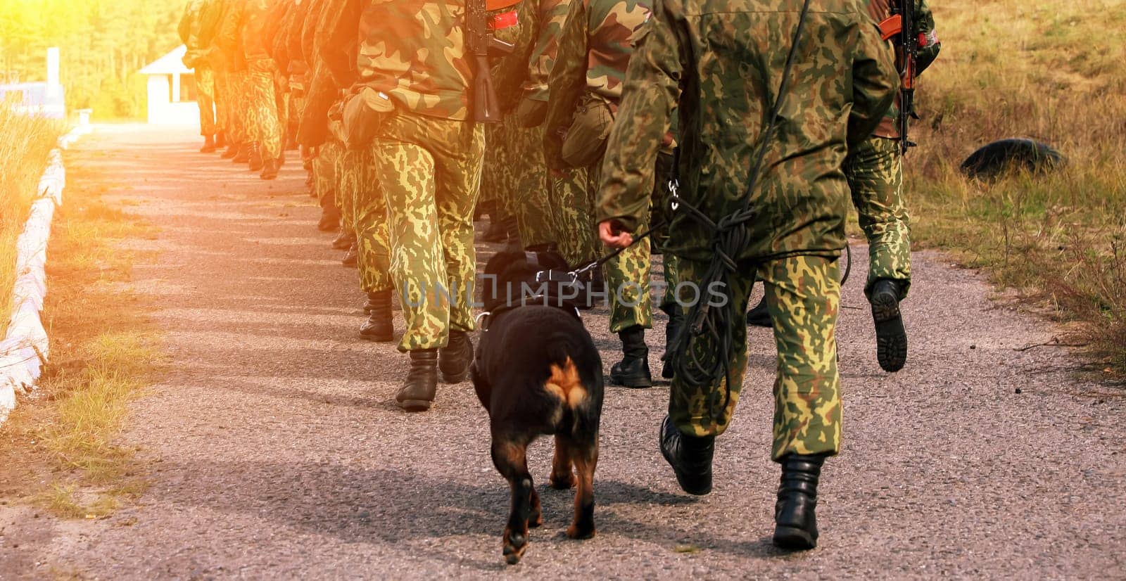 A group of soldiers in tactical gear walks in formation along a gravel path, accompanied by a trained dog, highlighting teamwork and discipline in military training.
