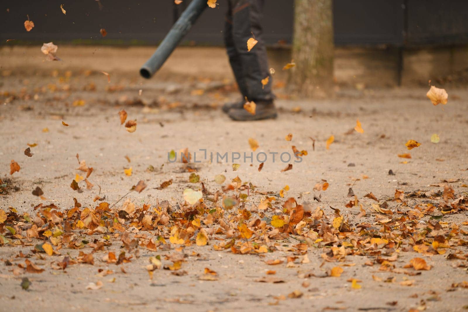 Man cleaning the park with a leaf blower