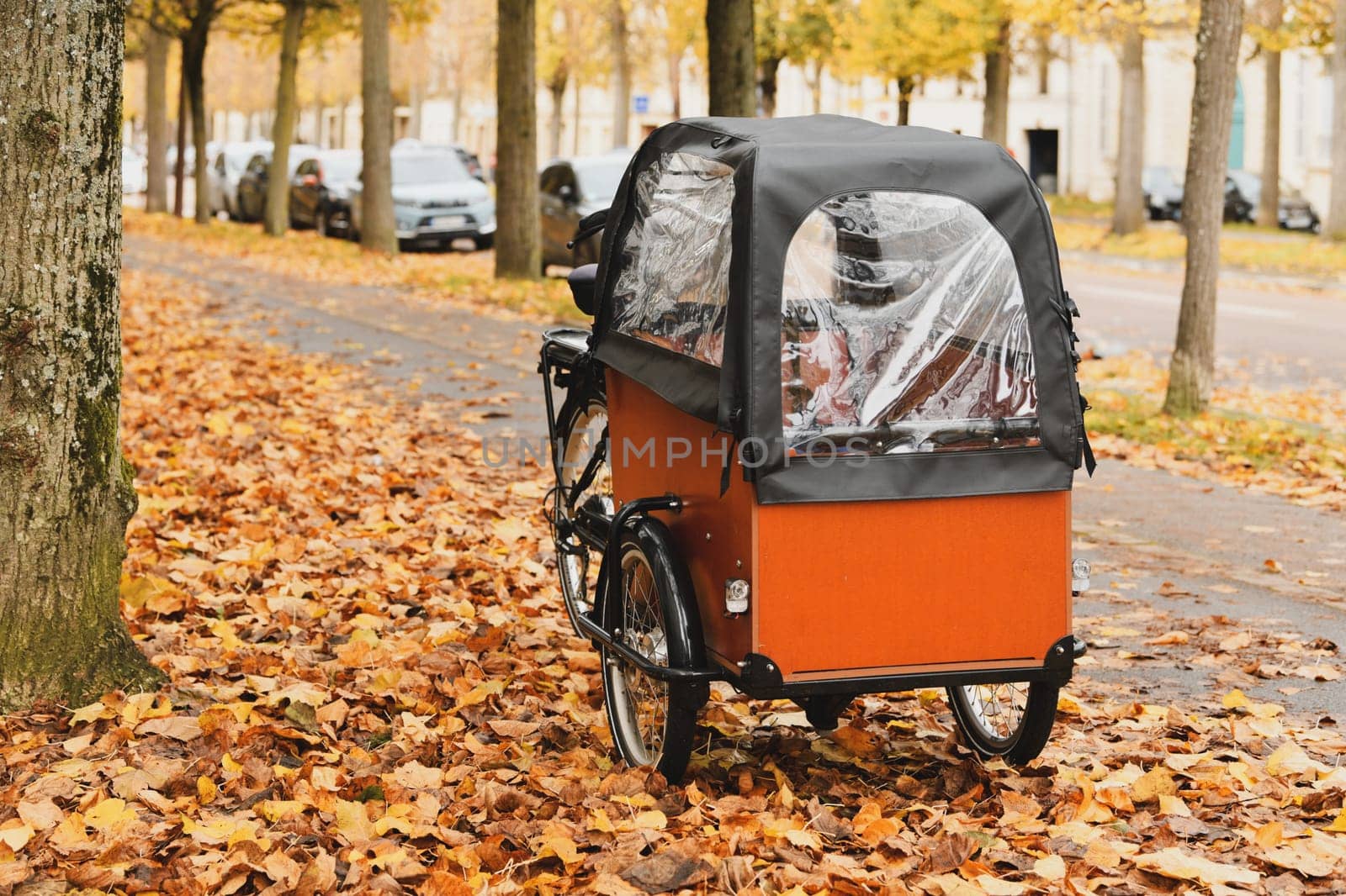 Cargobike for traveling with children France
