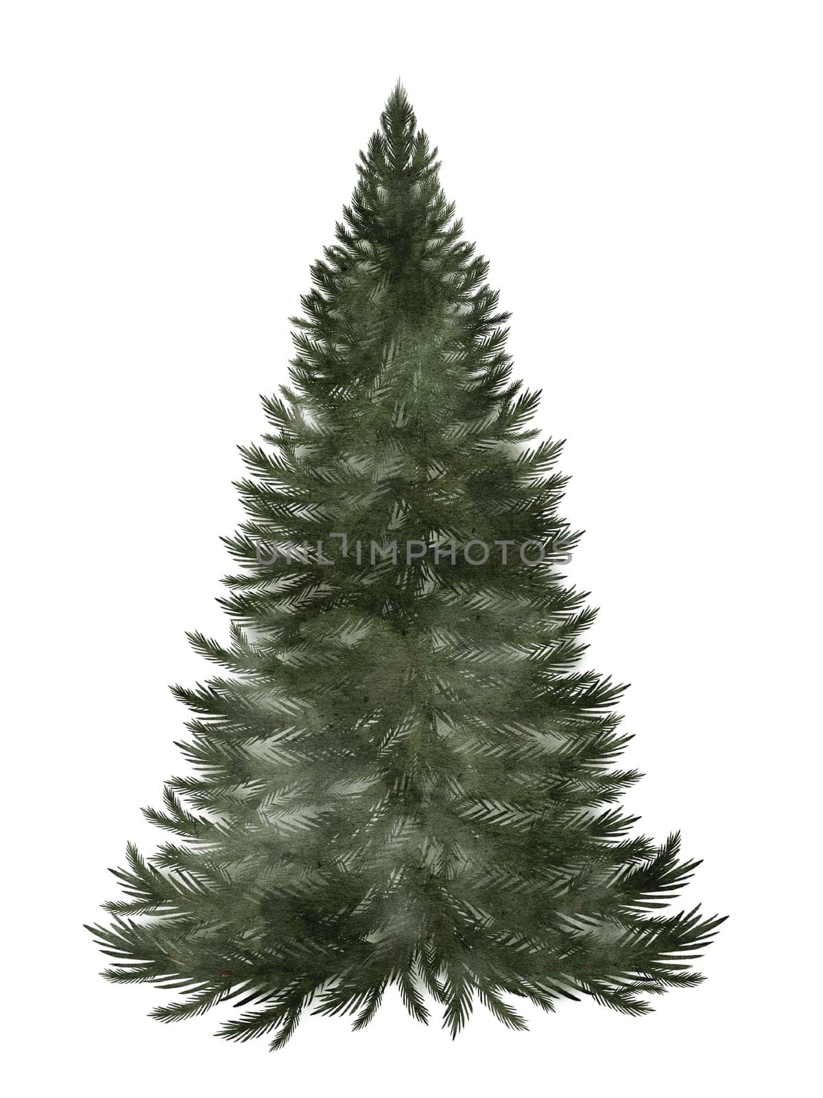 Christmas tree watercolor. Hand drawn evergreen tree isolated on white background. Clip art of Christmas and New Year symbol. Ideal for greeting cards, posters and home crafts design. High quality illustration
