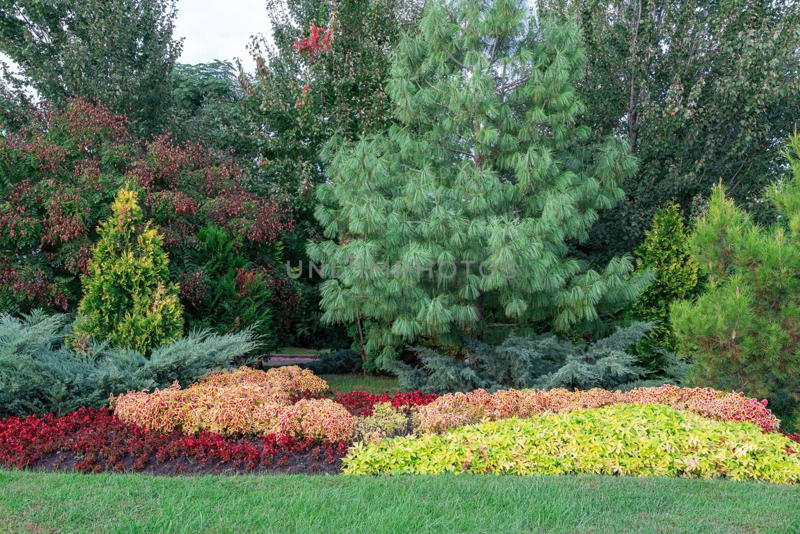 A beautifully arranged garden showcases a vibrant blend of autumn colors with various plants and trees. The lush greenery contrasts with the fallen leaves, enhancing the seasonal beauty.