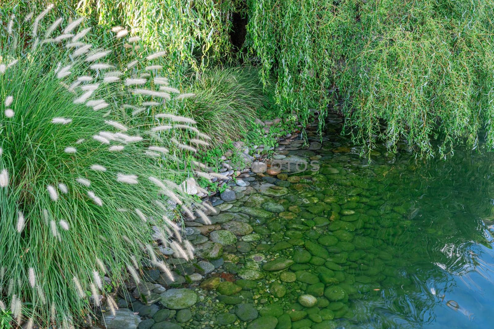 A serene waterside area showcases calm water reflecting greenery. River stones line the edges, while soft, feathery grass sways gently in the breeze, creating a peaceful atmosphere.