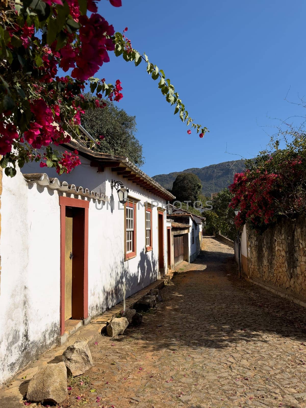 A cobblestone pathway flanked by traditional houses and vibrant bougainvillea under a clear blue sky.
