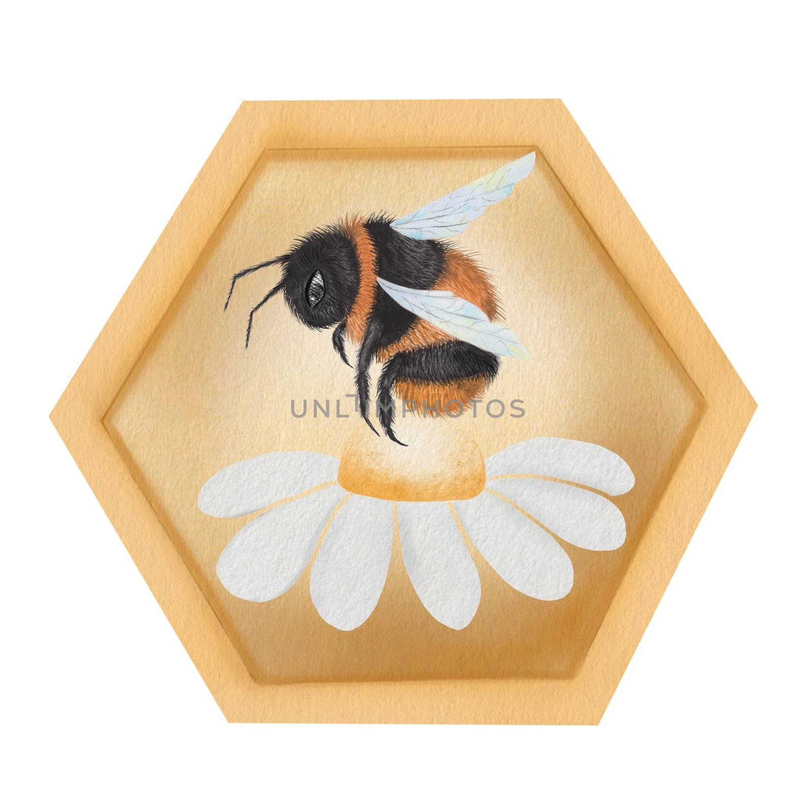 Honey bee watercolor. Hand drawn bumblebee with a flower on isolated white background. Clip art of garden insect. Ideal for farm honey logo, banner and natural cosmetics and food. High quality illustration