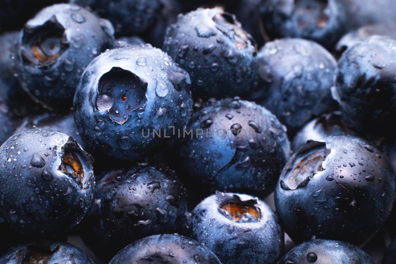 Wet fresh blueberries background. Studio macro photography. Fresh blueberries with water drops.