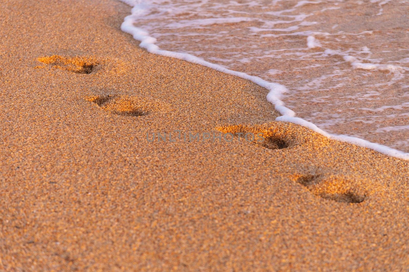 beach, wave and footprints at sunset. Footprint in the sand on a sandy beach washed by the sea.