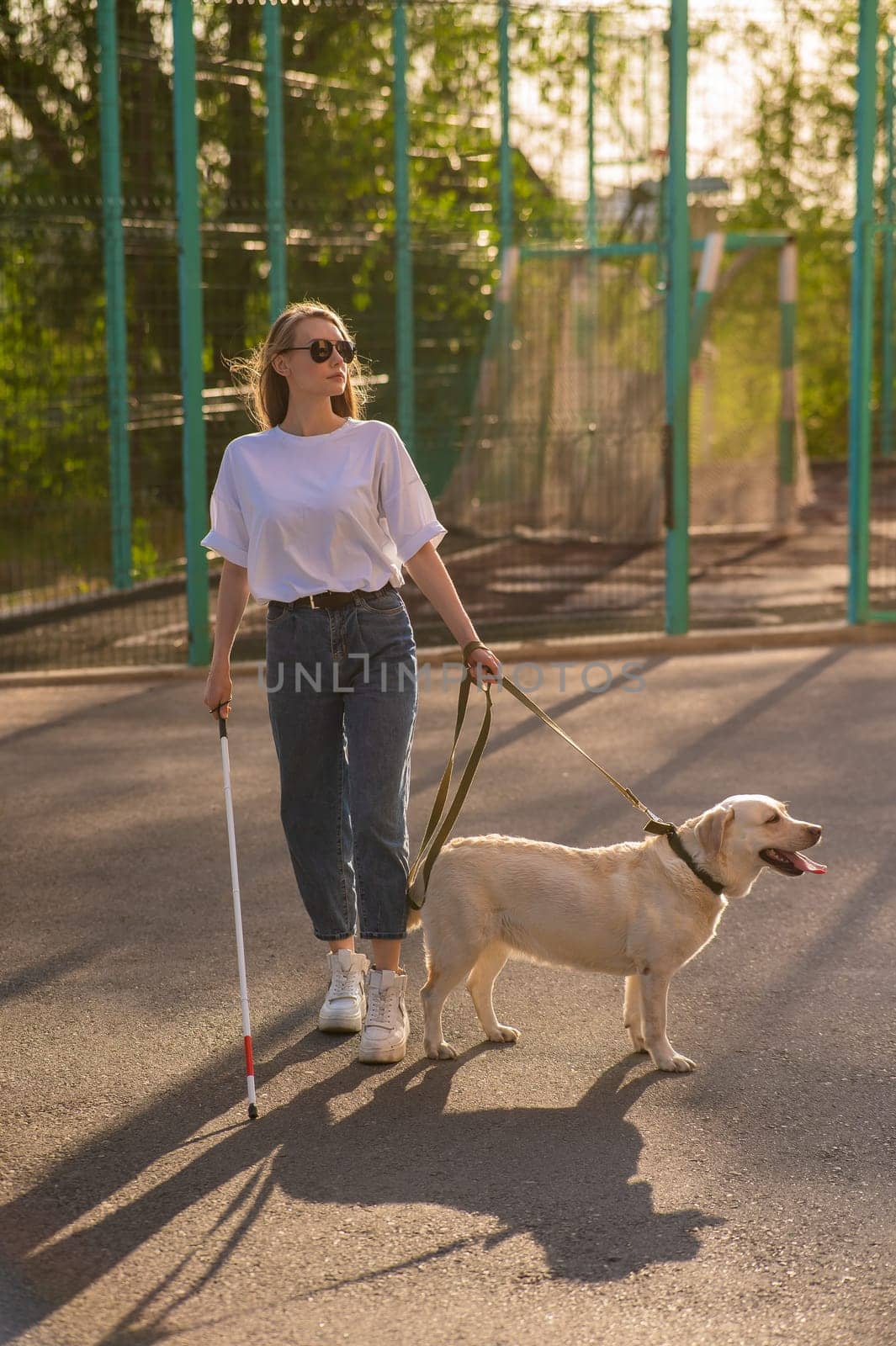 Blind woman walking with guide dog