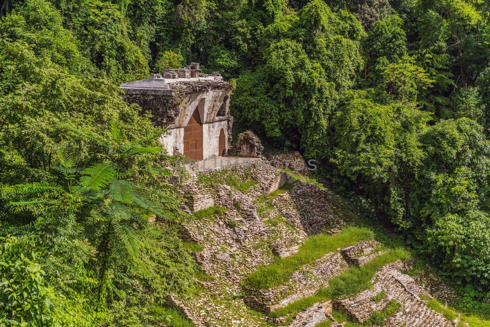The ancient pyramids of Palenque in Mexico, surrounded by lush jungle. Iconic archaeological site showcasing Mayan culture and history. Travel, history, and adventure concept.