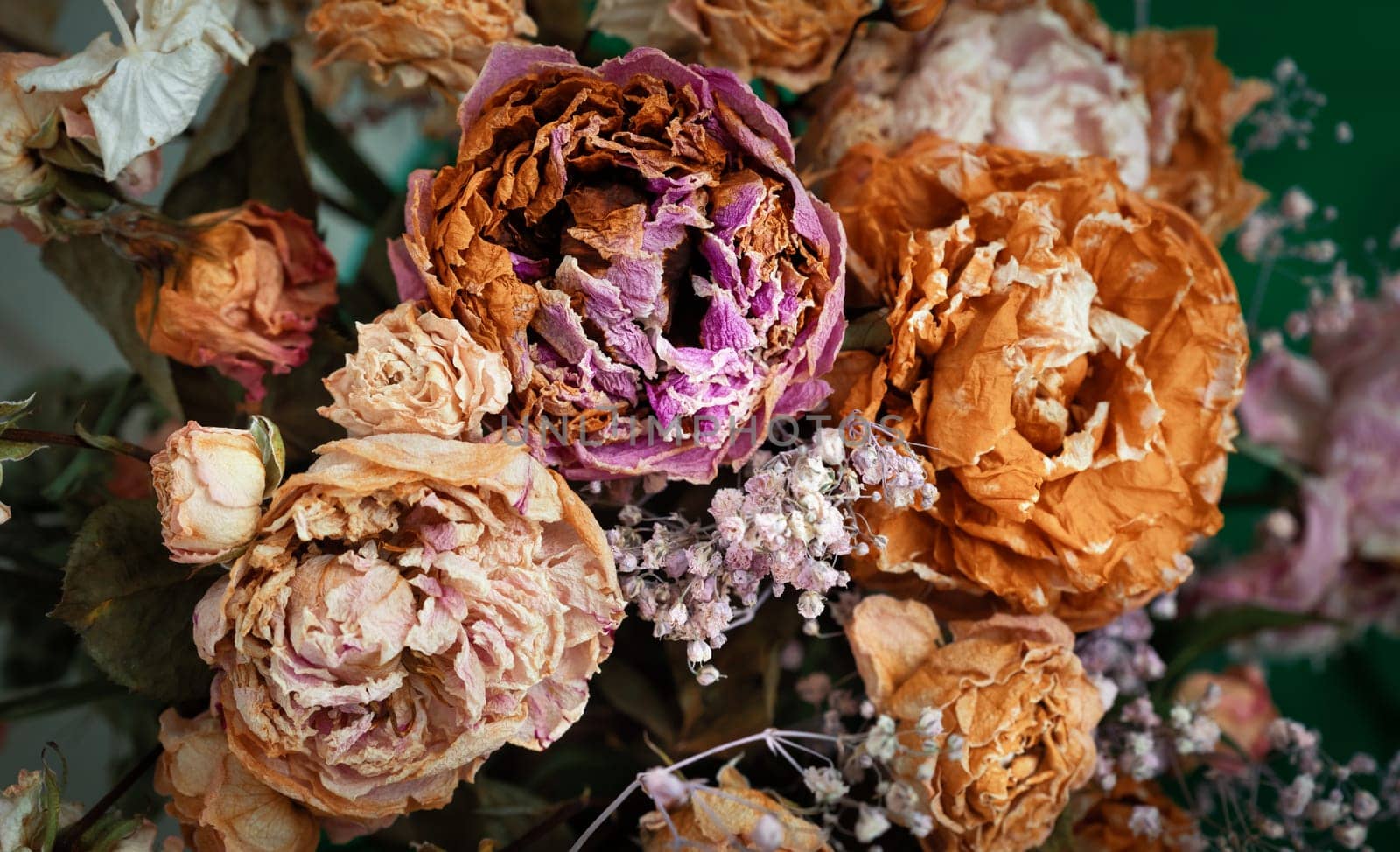Dry bouquet. Close-up image of dried flowers in a bouquet. Life and death concept. Withered flower background