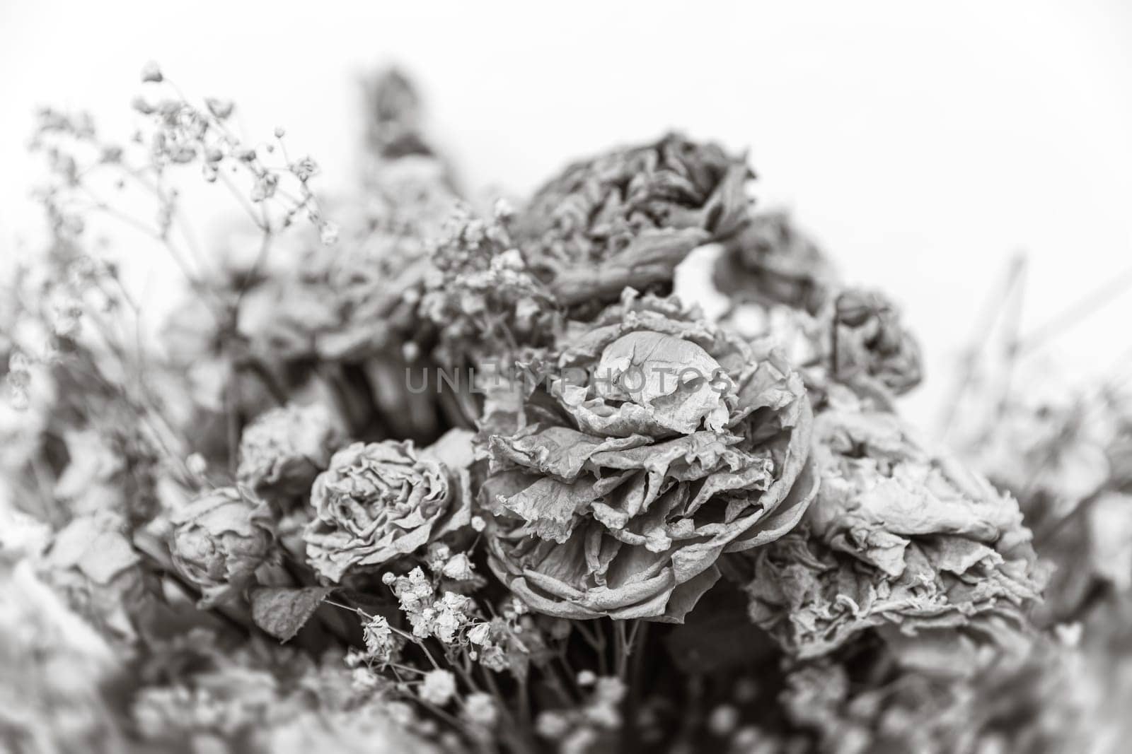 Dry bouquet. Close-up image of dried flowers in a bouquet. Life and death concept. Withered flower background