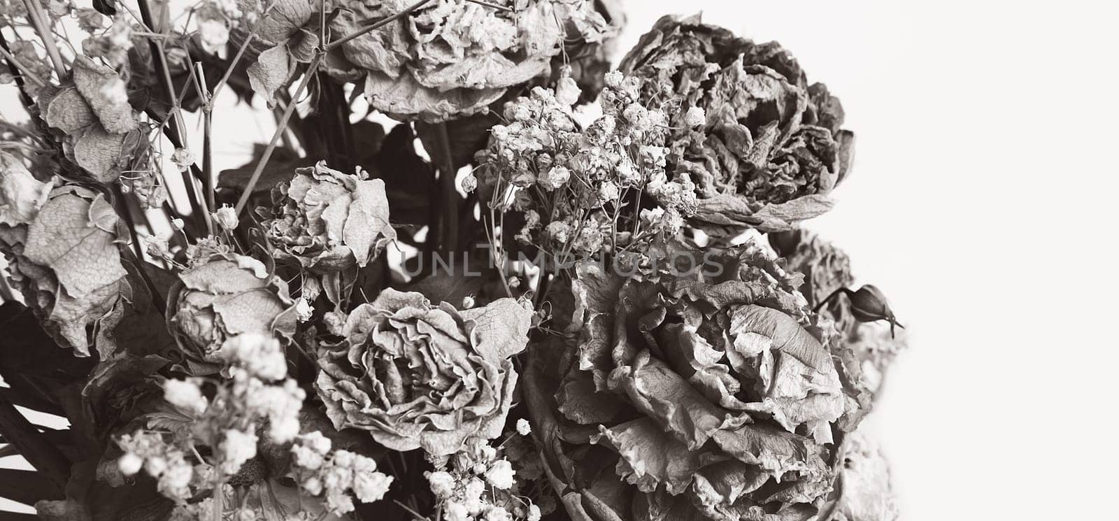 Dry bouquet. Close-up image of dried flowers in a bouquet. Life and death concept. Withered flower background