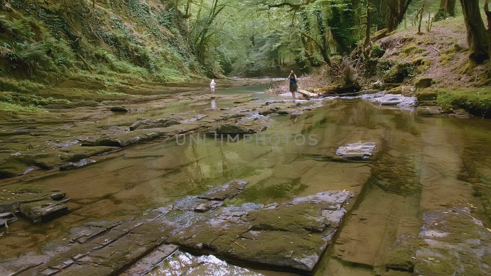 Little people and wild forest. Creative. People walk in big wild forest with river in summer. Landscape with small river and dense green forest. Hiking in wild woodland.