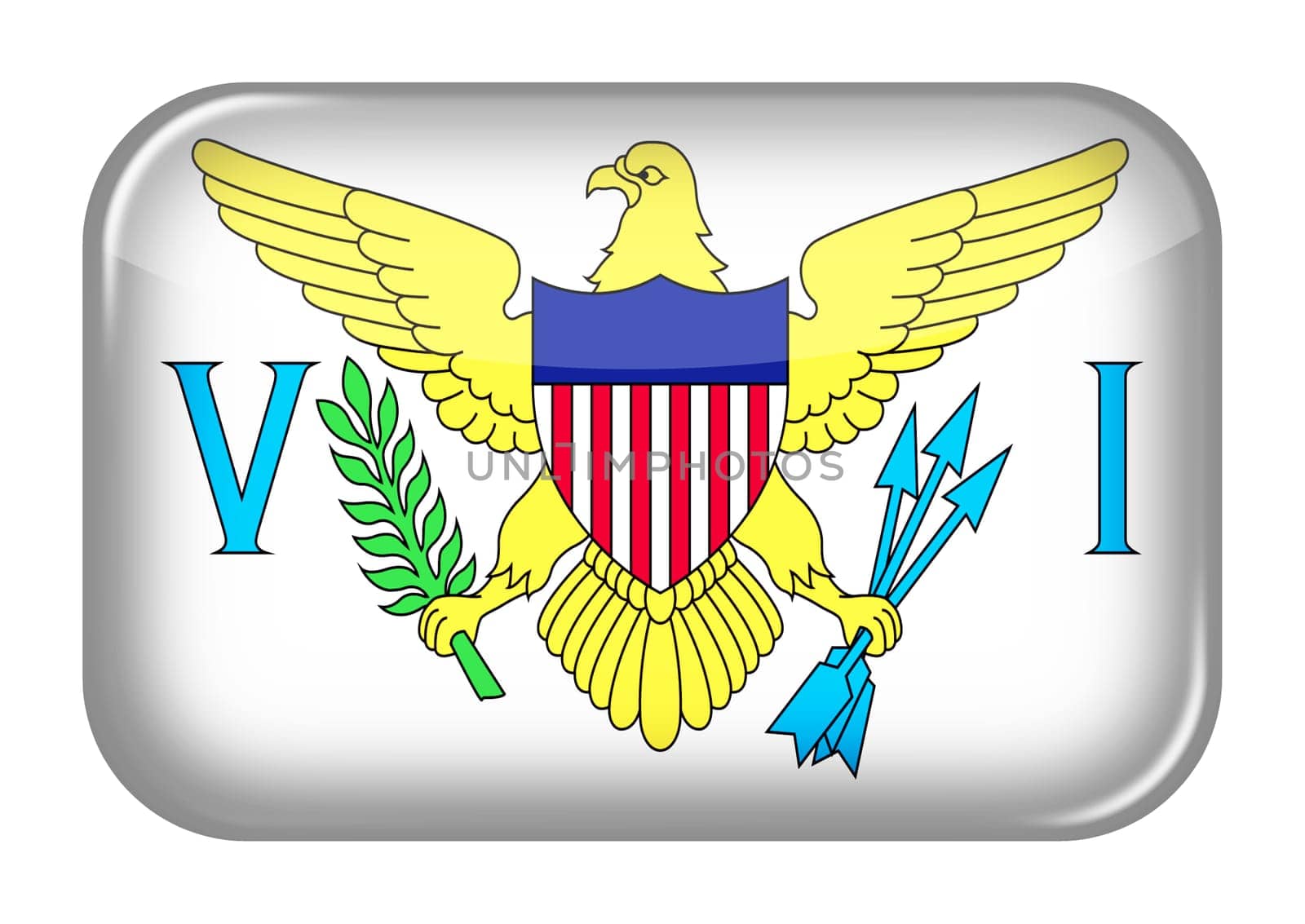 A US Virgin Islands web icon rectangle button with clipping path 3d illustration