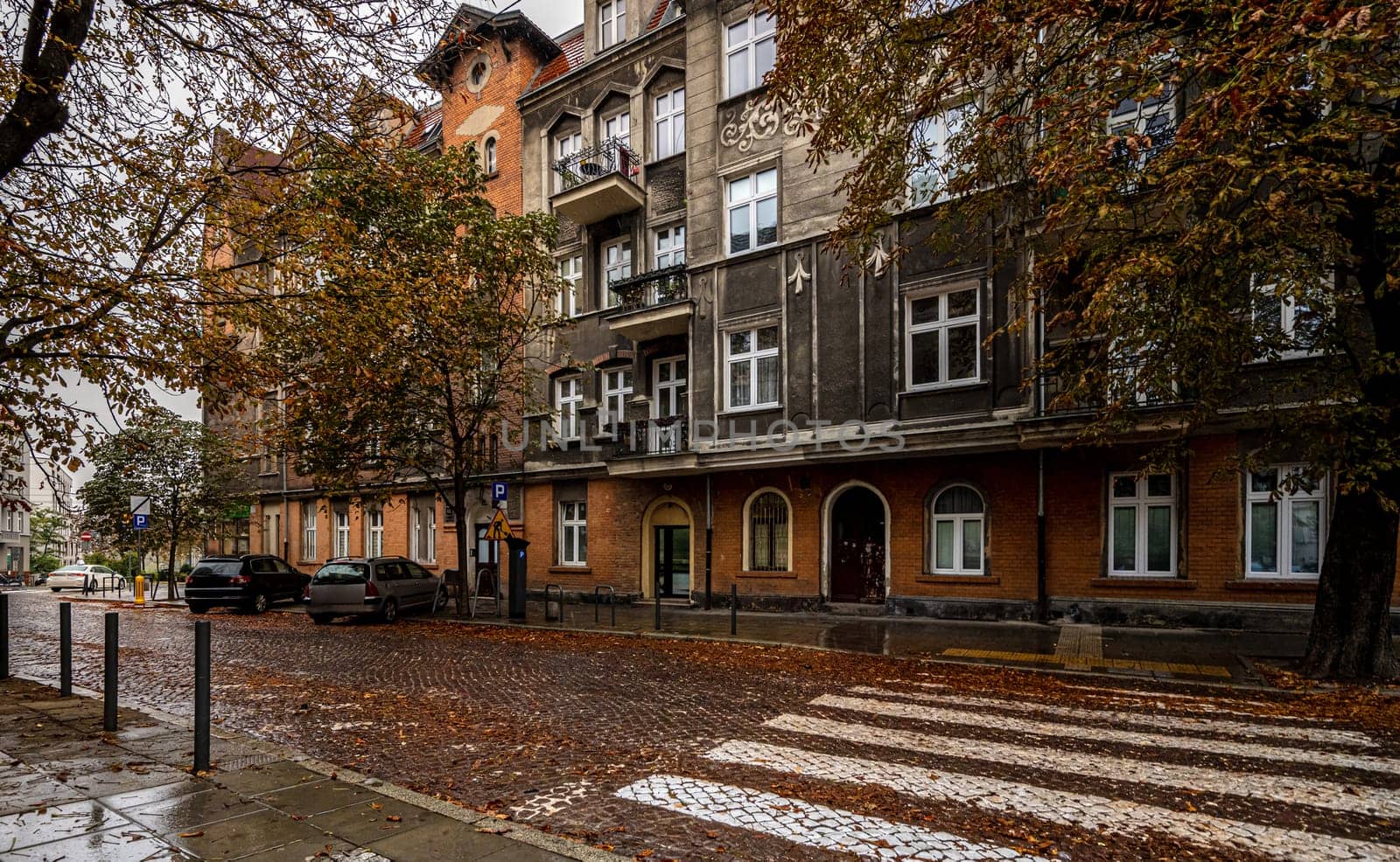 Autumn Street In Poznan, Poland, Paints A Picturesque Scene