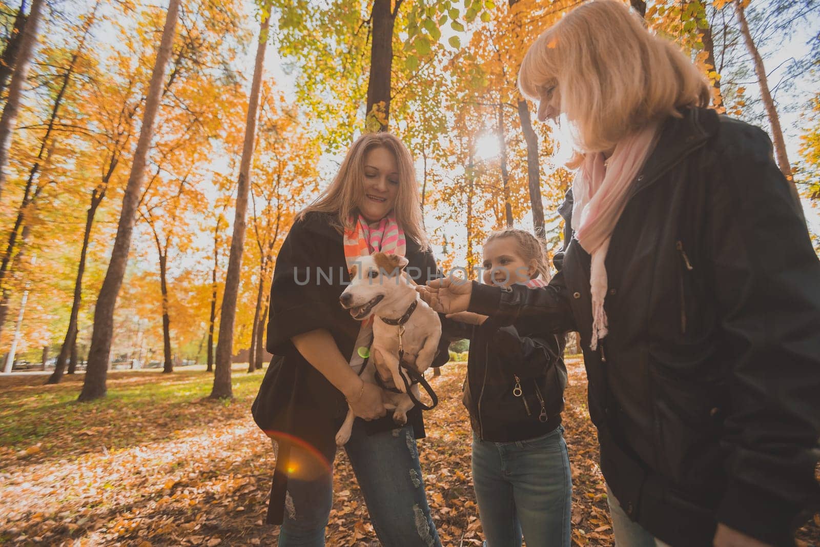 Mother and grandmother and daughter holds jack russell terrier and plays with it in autumn outside. Pet and family concept.