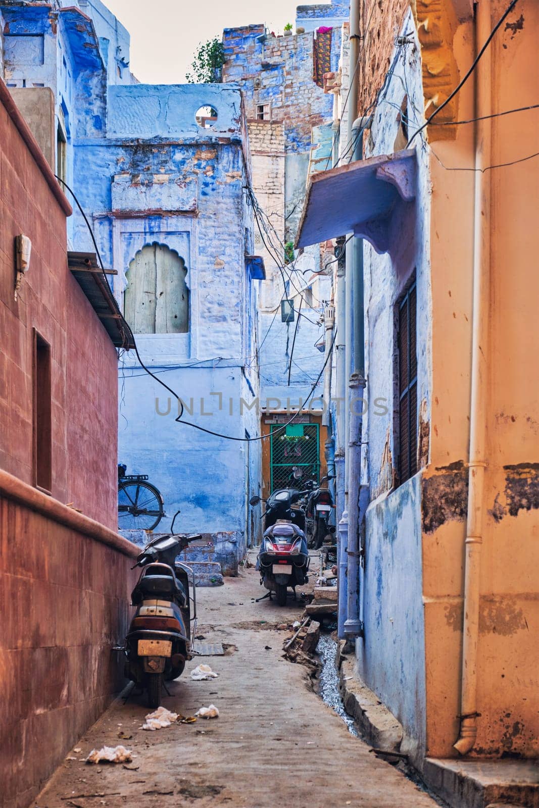 Blue houses in streets of of Jodhpur, also known as Blue City due to the vivid blue-painted Brahmin houses, Jodhpur, Rajasthan, India
