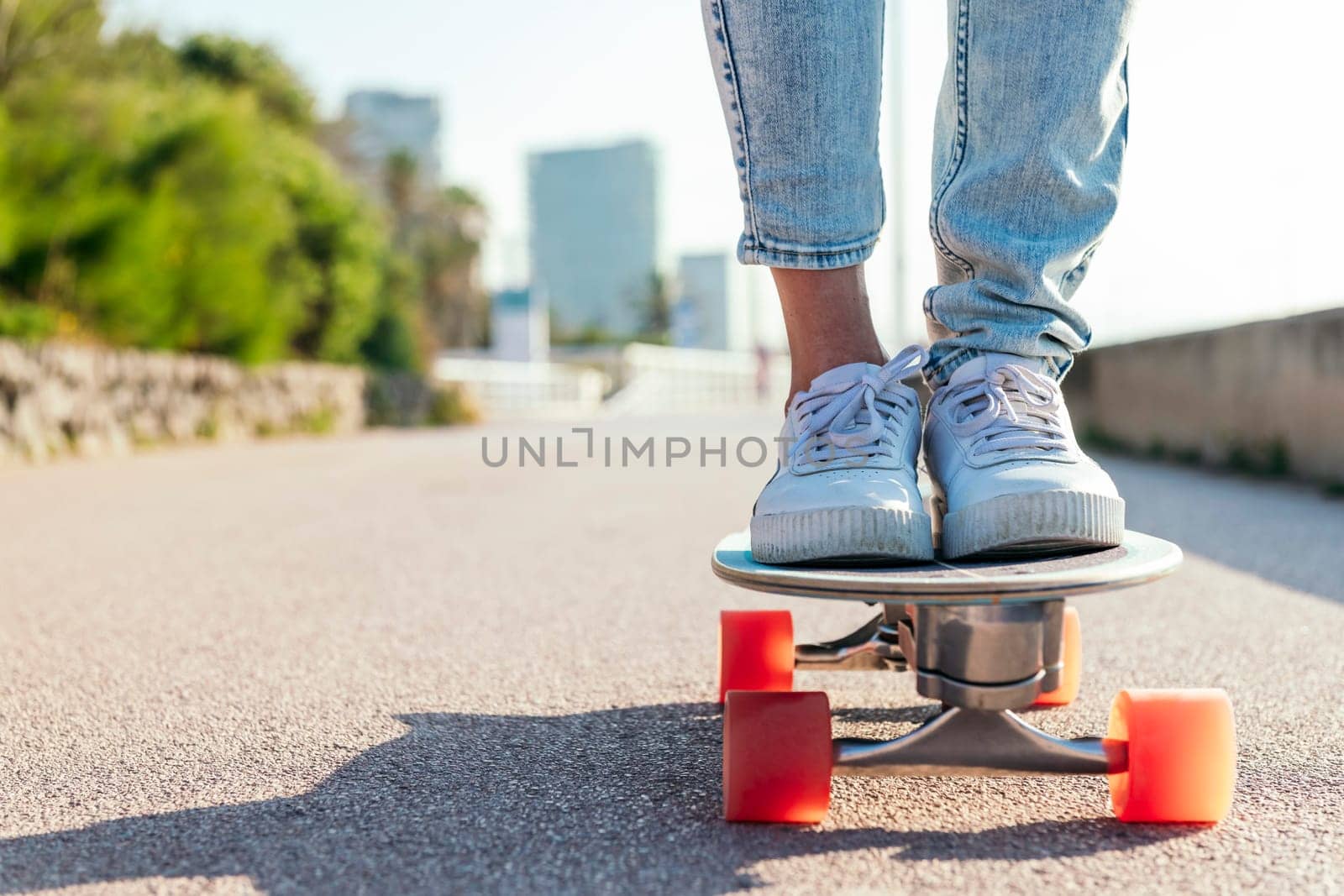 unrecognizable stylish skater in jeans and sneakers standing on skateboard on street on sunny day in summer