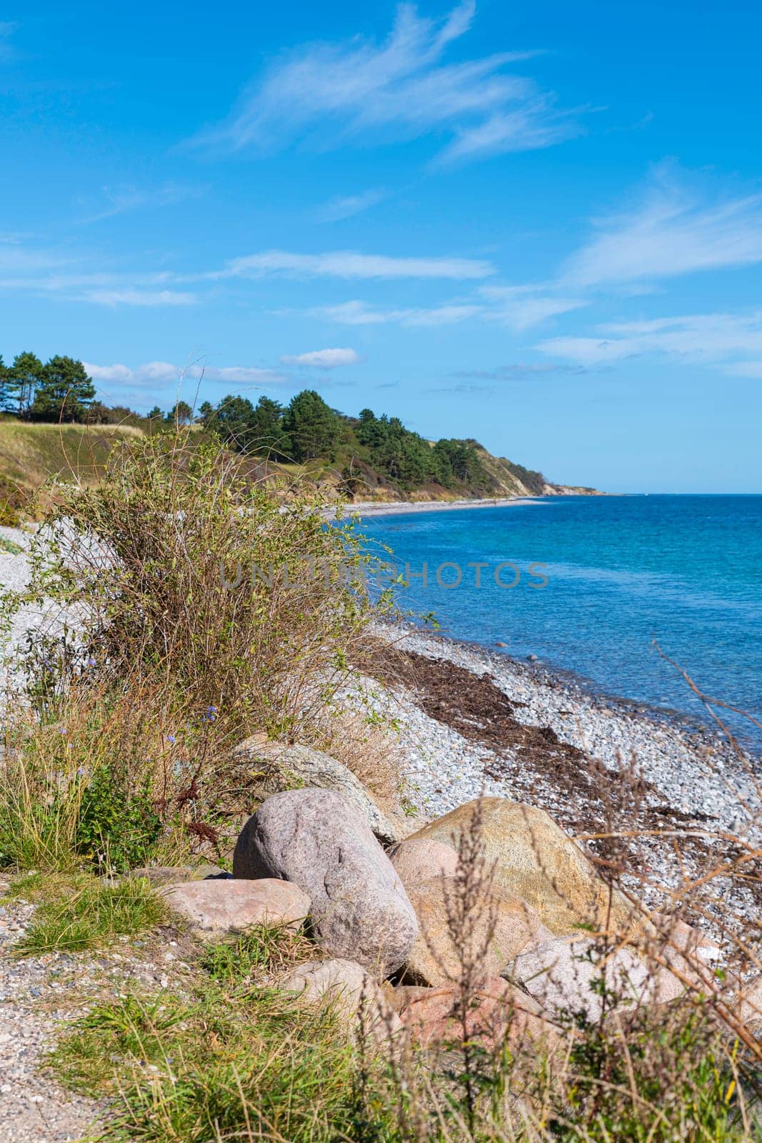 Captivating view of a serene coastline with calm blue waters, a pebbled beach, and lush green vegetation under a clear sky. Perfect representation of peace and natural beauty in mols bjerge denmark