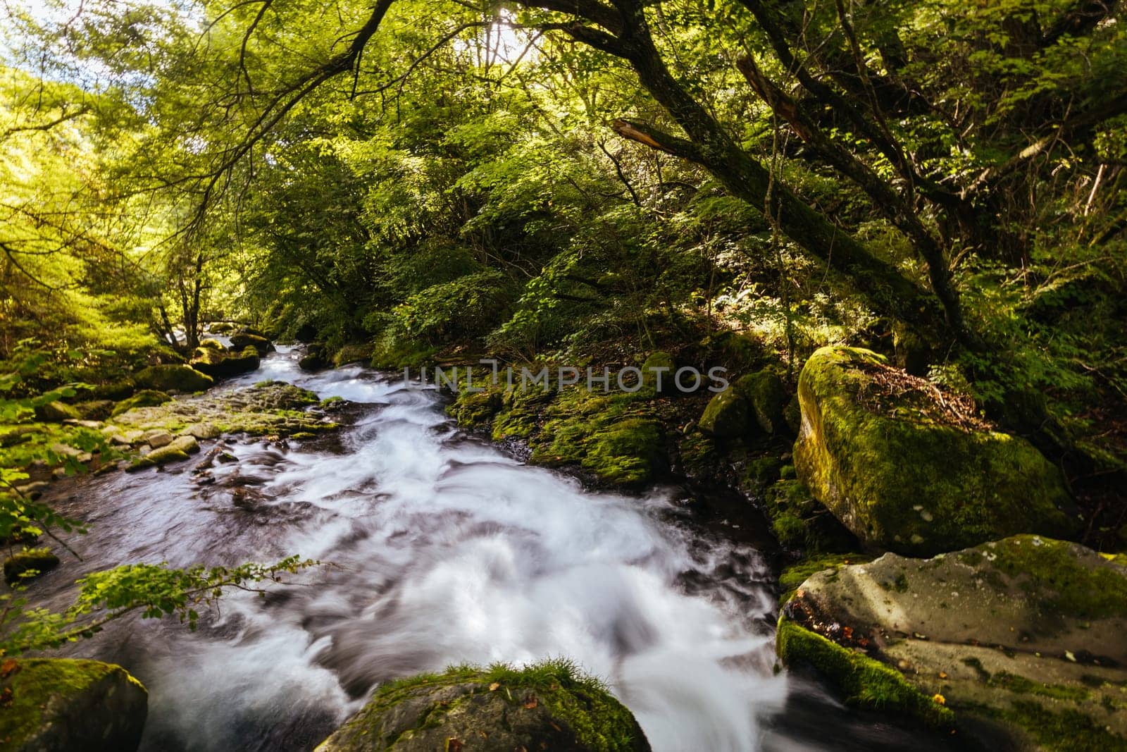 The magnificent Tateshina Otaki Falls on the famous Venus Line road, famous as a scenic driving route in Japan