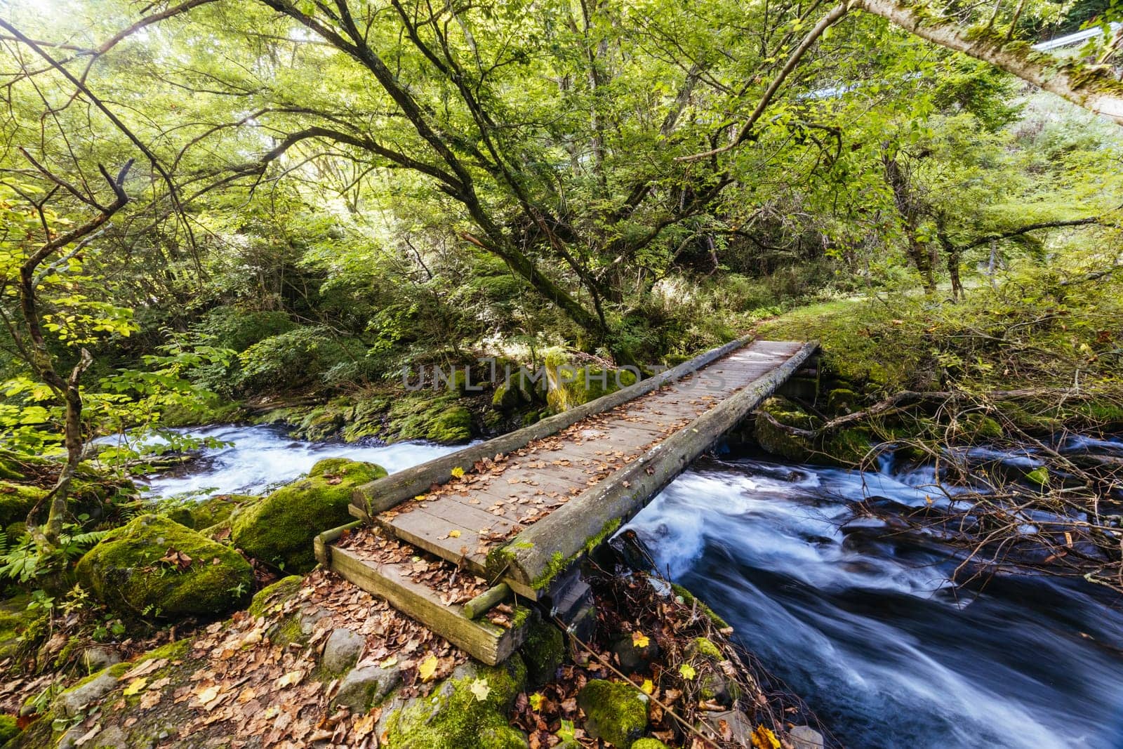 The magnificent Tateshina Otaki Falls on the famous Venus Line road, famous as a scenic driving route in Japan