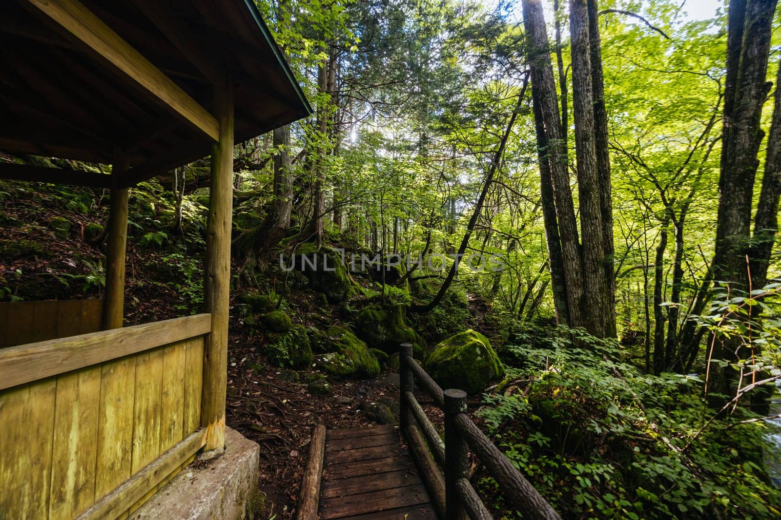 The magnificent Tateshina Otaki Falls on the famous Venus Line road, famous as a scenic driving route in Japan