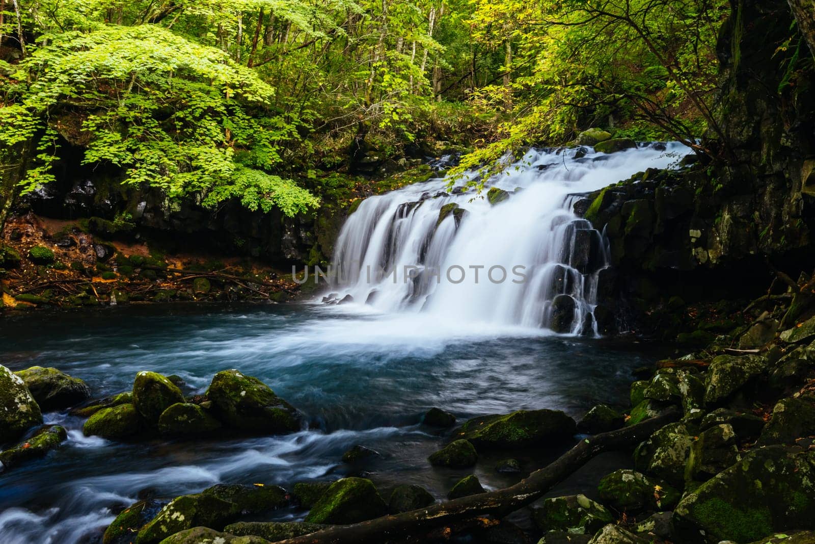 The magnificent Tateshina Otaki Falls on the famous Venus Line road, famous as a scenic driving route in Japan