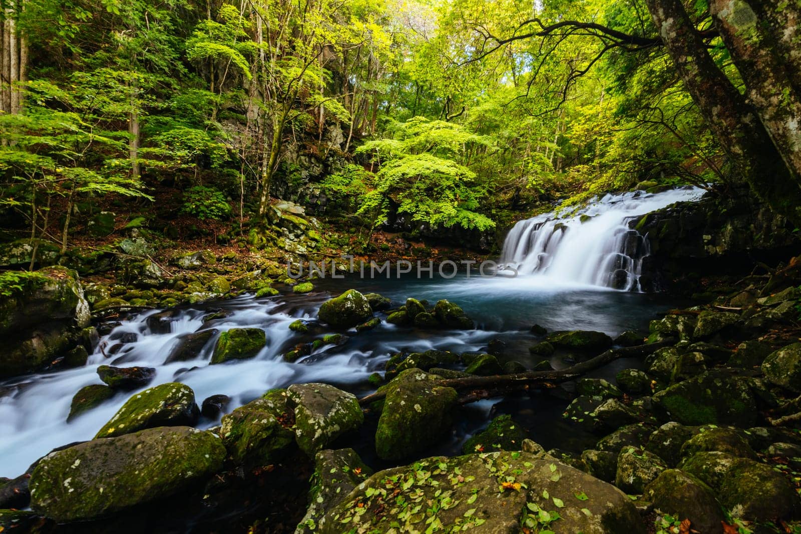The magnificent Tateshina Otaki Falls on the famous Venus Line road, famous as a scenic driving route in Japan