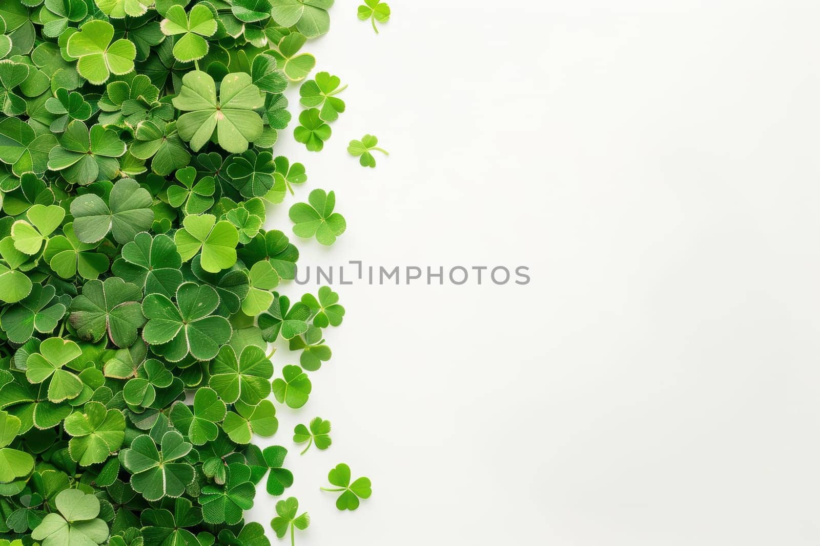 Elegant st. patrick's day card featuring vibrant green clovers on a minimalistic white background. the design combines simplicity and tradition, symbolizing luck and elegance, perfect for festive greeting cards and print materials.