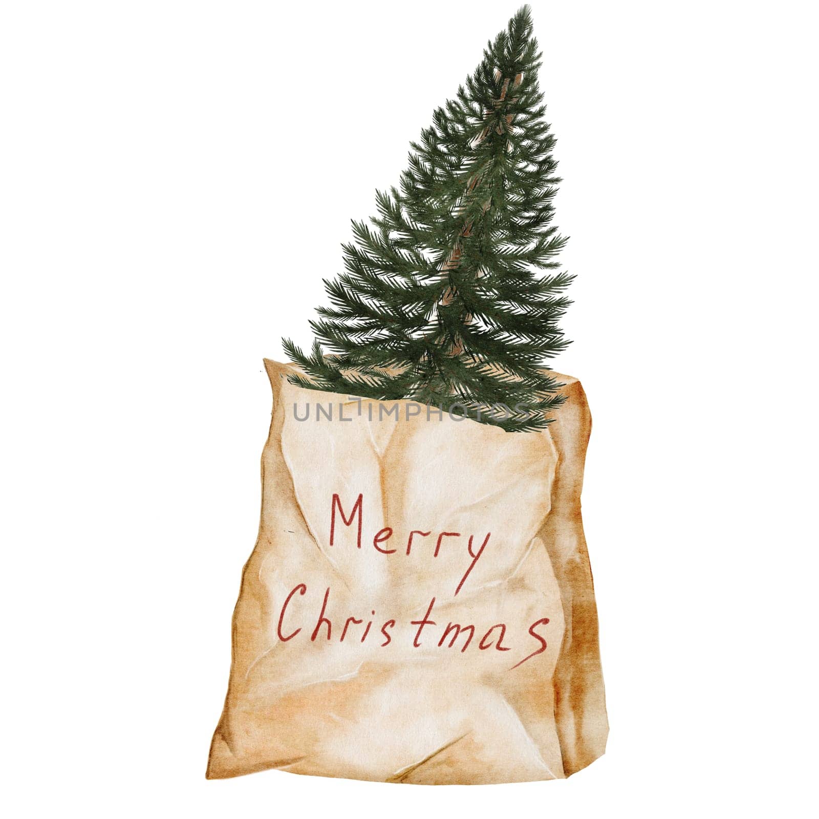 Christmas tree in a craft bag. Evergreen plant in paper packaging on a white background. Ideal for New Year and Christmas cards and posters. High quality photo