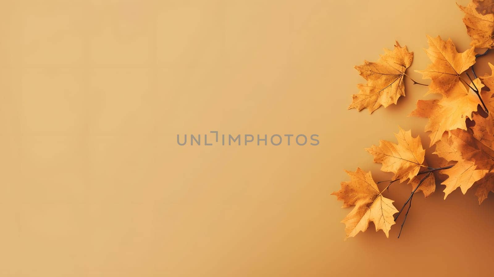 Golden autumn leaves on a beige background, creating a simple and elegant still life.