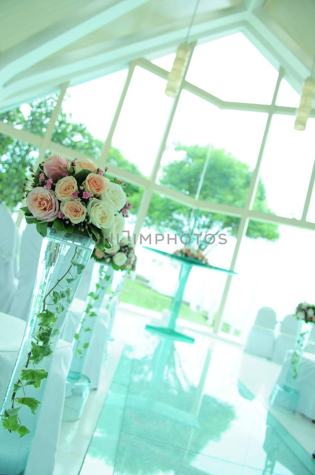 Amazing and beautiful flowers showcasing vivid colors and natural beauty. Perfect for floral arrangements and botanical studies and multimedia content creation