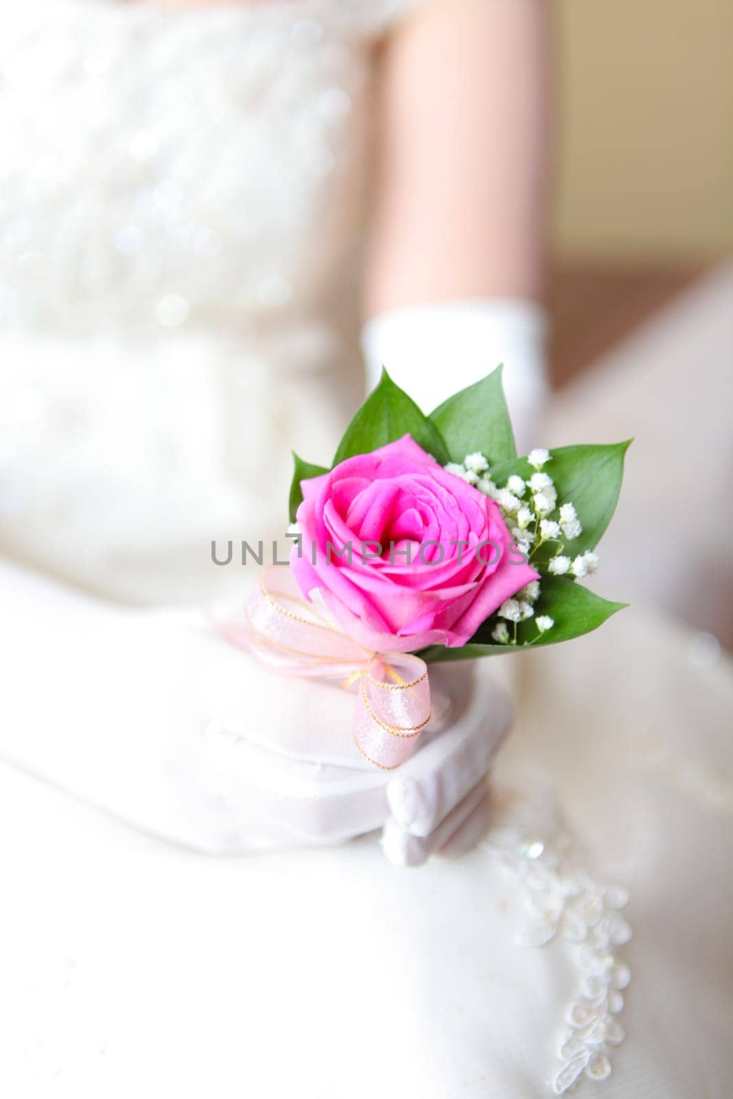 Amazing and beautiful flowers showcasing vivid colors and natural beauty. Perfect for floral arrangements and botanical studies and multimedia content creation