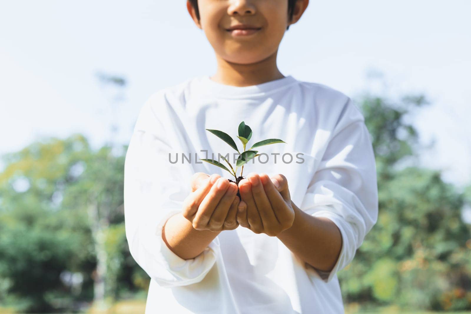 Promoting eco awareness on reforestation and long-term environmental sustainability with asian boy holding sprout. Nurturing greener nature for future generation with sustainable ecosystem. Gyre