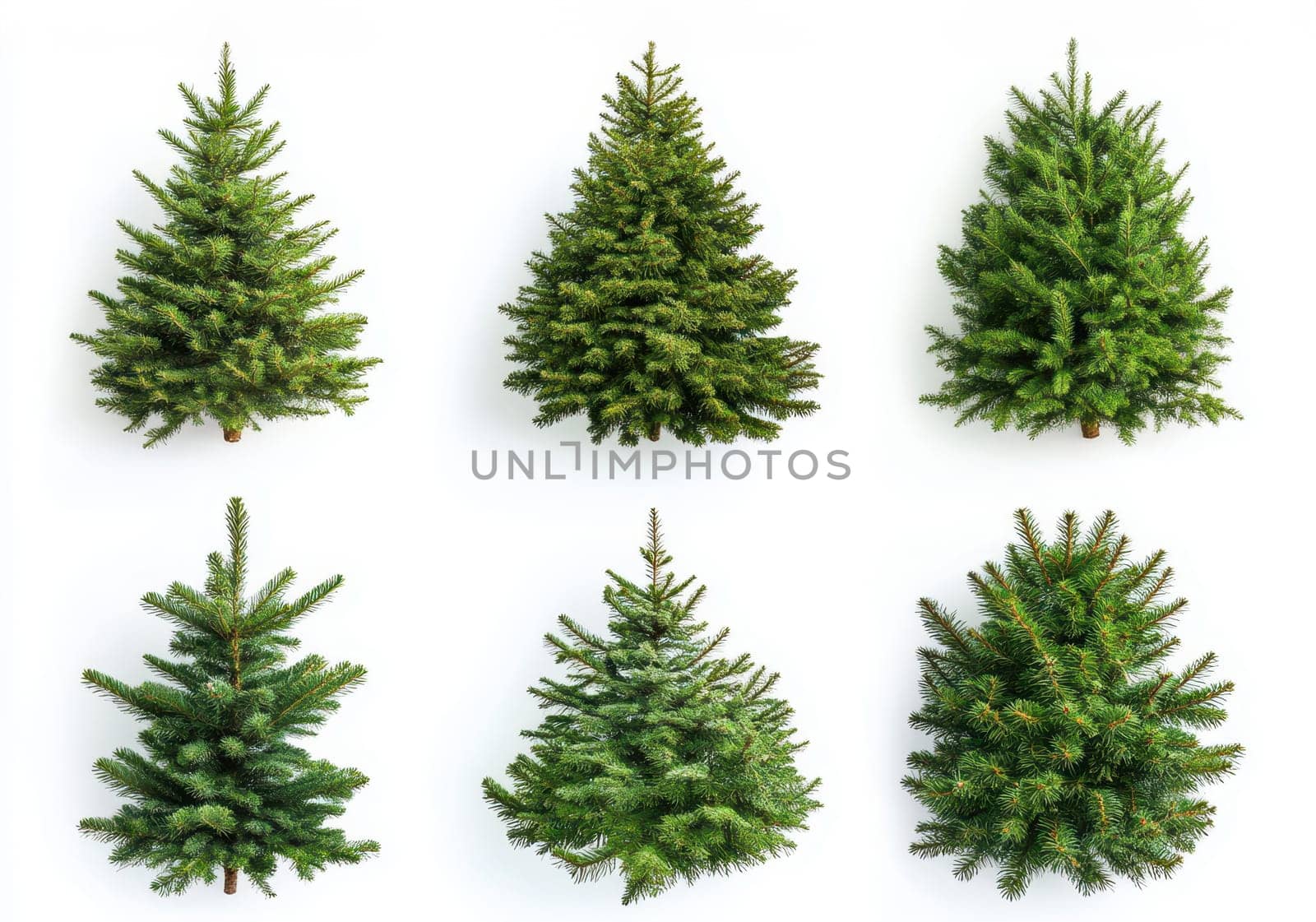 Collection set of festive pine tree Christmas on a white isolated background ..