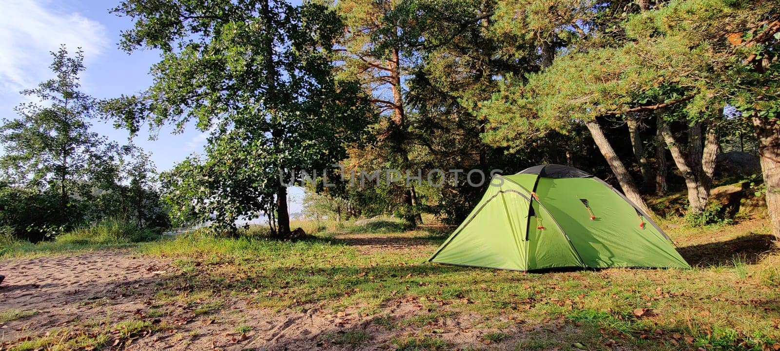 Tent under the pine trees with beautiful summer sunlight. Finnish nature in summertime, vacations in Nordic country