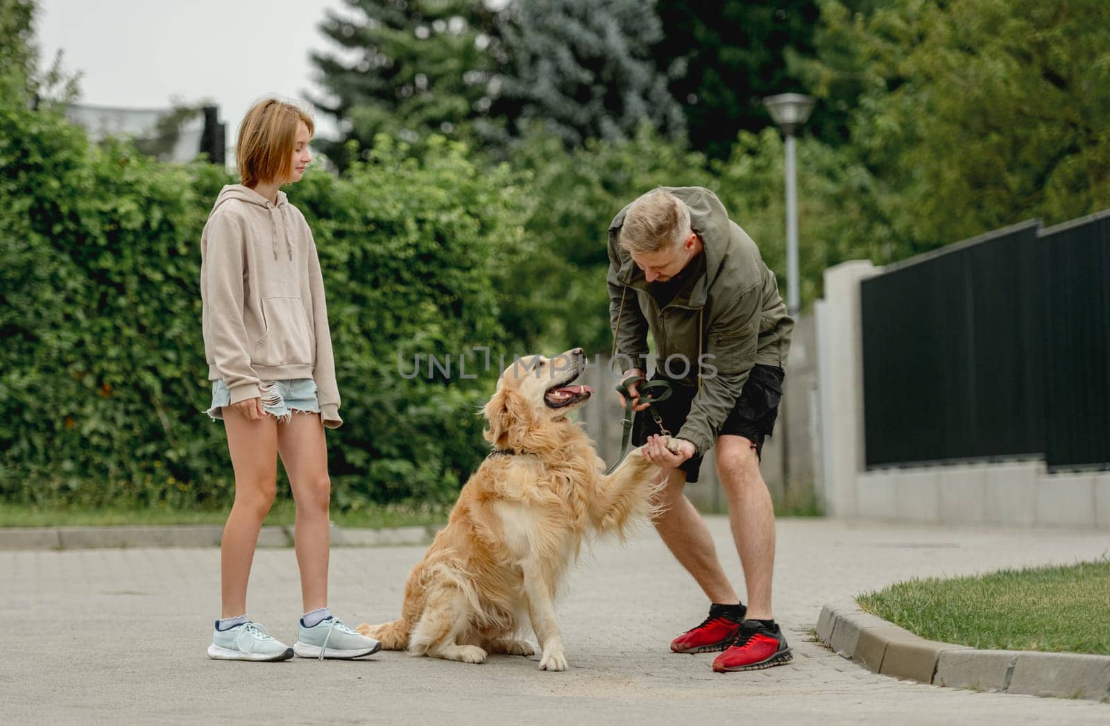 Golden Retriever Gives Paw To Owner Who, With Daughter, Went For A Summer Walk