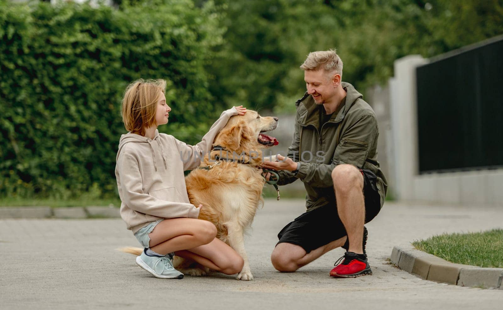 Golden Retriever Gives Paw To Owner Who, With Daughter, Went For A Summer Walk