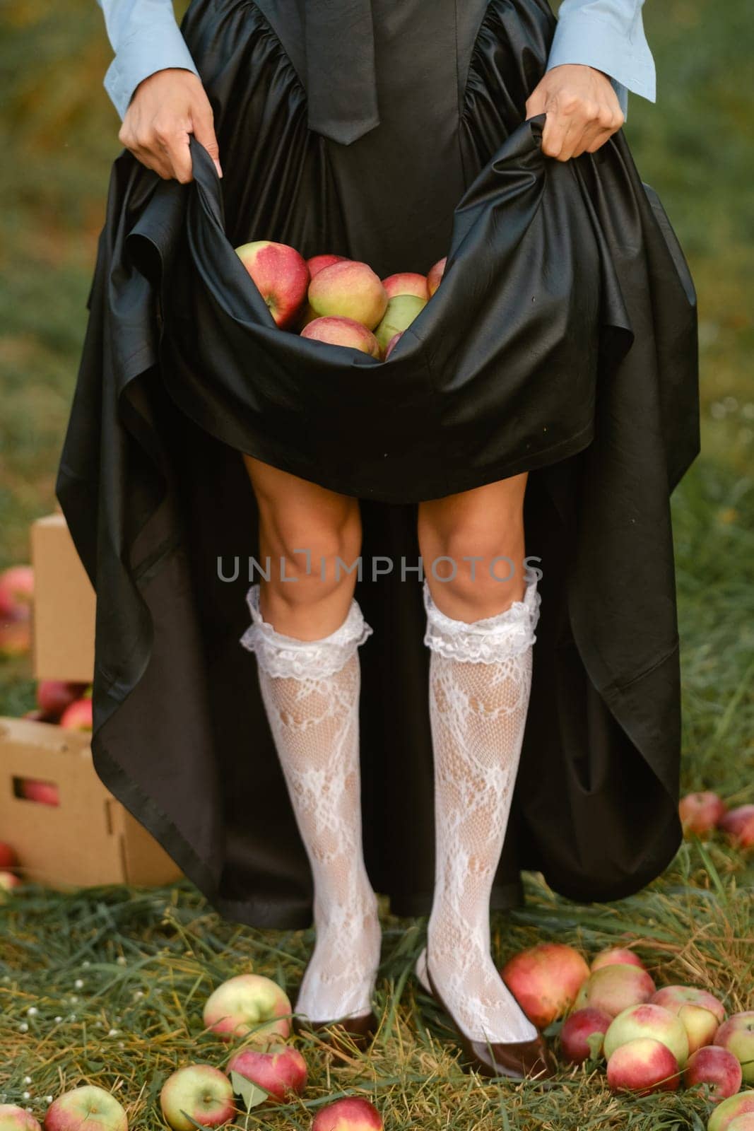Close-up of the hands of a girl holding apples in a dress in the garden. A girl holds apples under her skirt.
