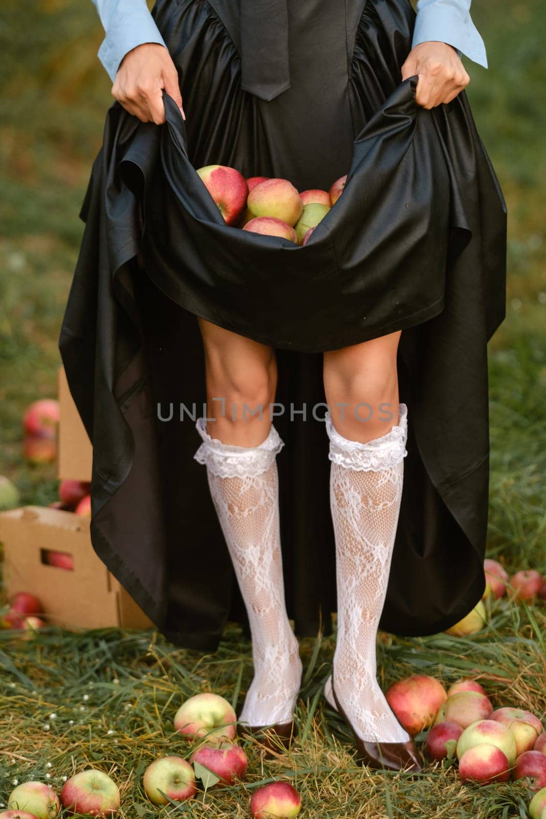 Close-up of the hands of a girl holding apples in a dress in the garden. A girl holds apples under her skirt.