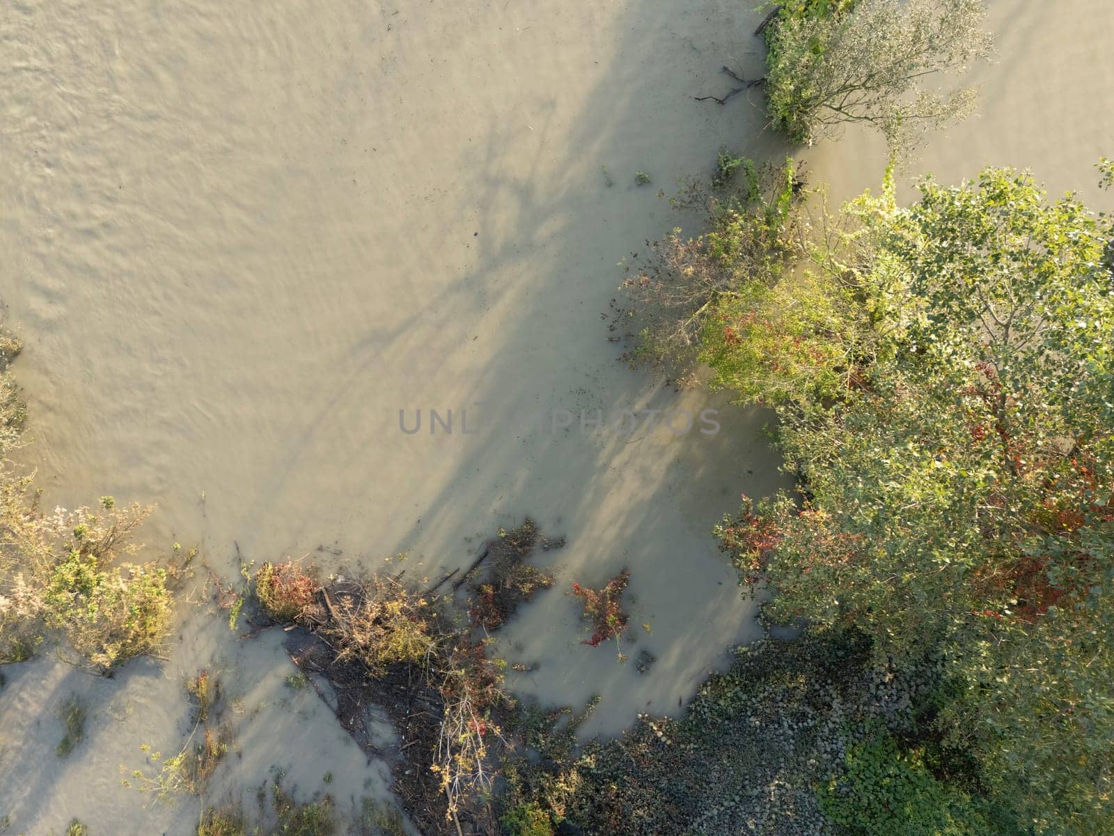 Aerial view of muddy water flowing over the Po riverbanks covering the surrounding land, with a few trees and bushes struggling to survive after heavy fall rainfalls
