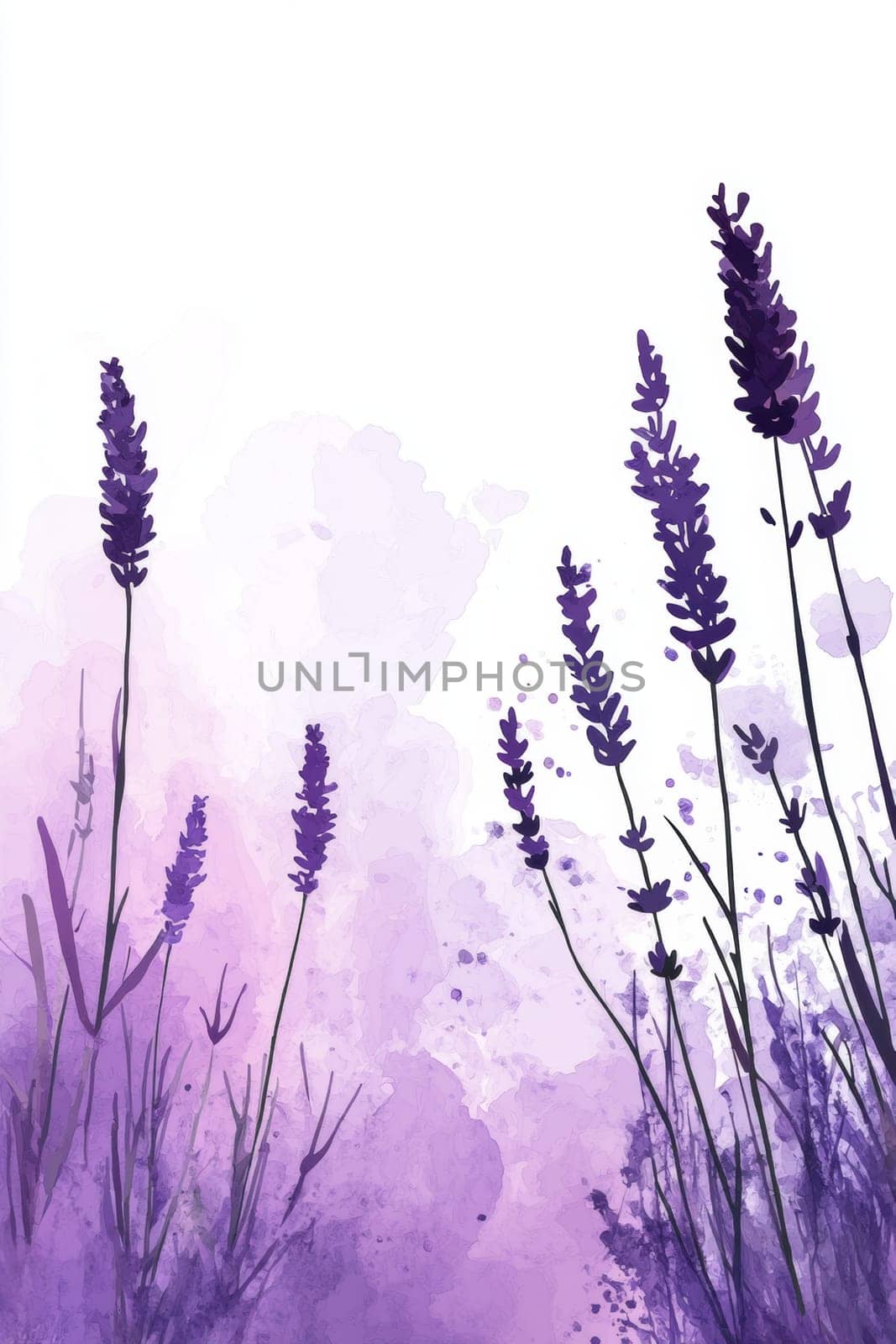 Flowers painted with purple watercolor on white background. High quality photo
