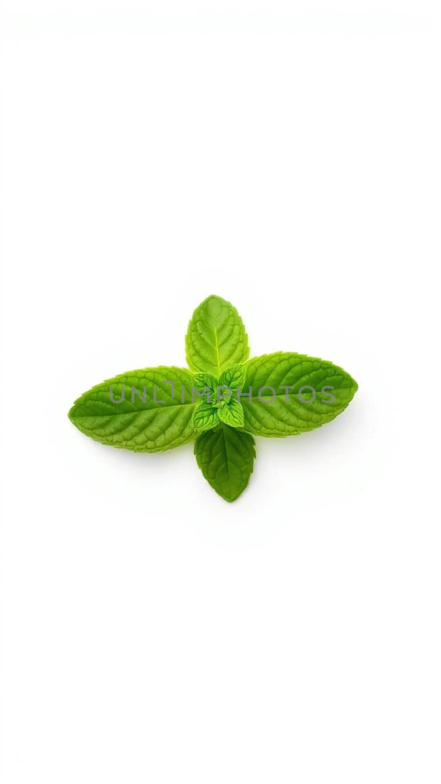Four vibrant green mint leaves arranged in a cross shape, conveying freshness and vitality against a clean white backdrop