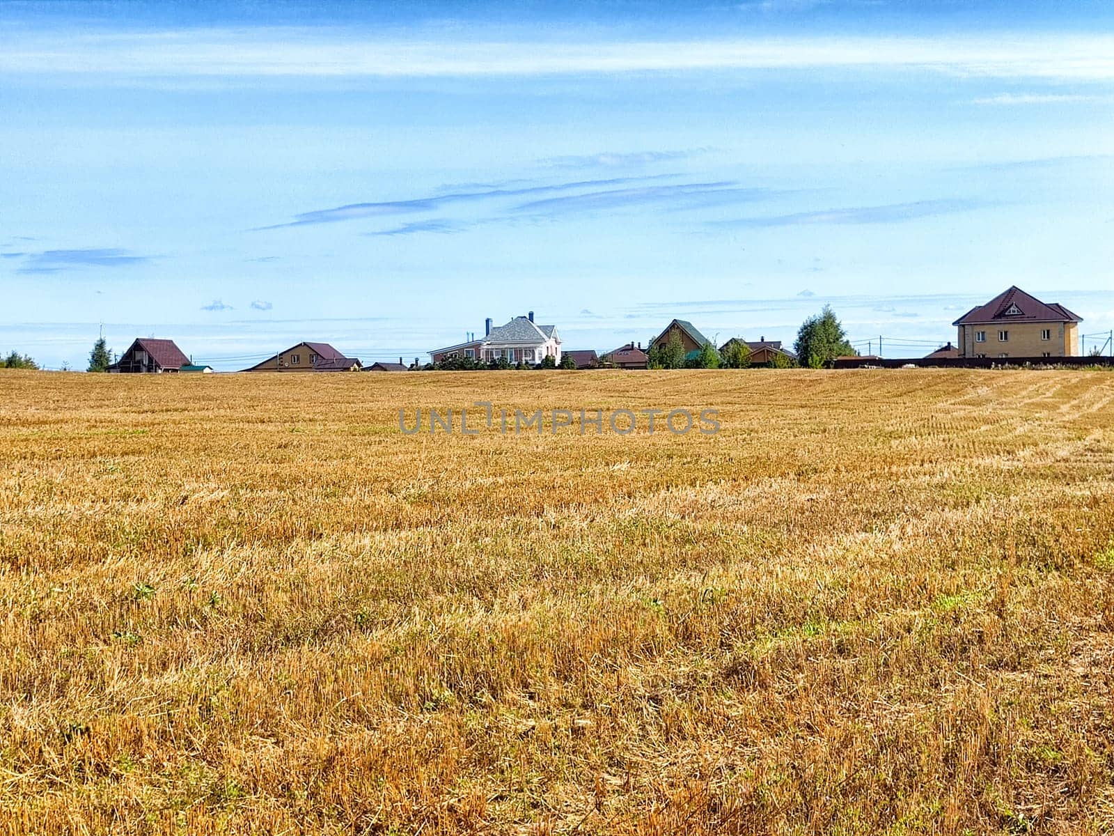 A vast golden field stretches under a clear blue sky, with scattered houses visible in the distance amidst a tranquil countryside.